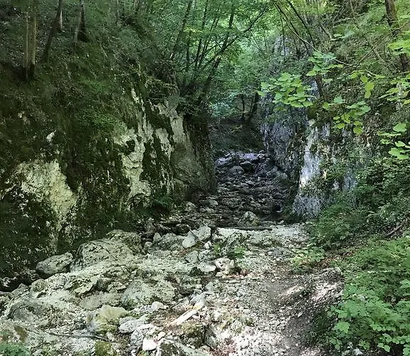 住宿加早餐酒店 Casa Mila'